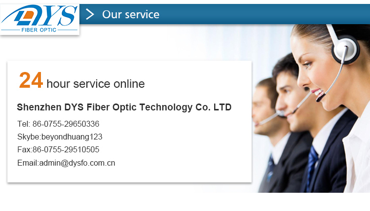 2 Core/4cores/6cores FTTH Drop Fiber Optic Cable