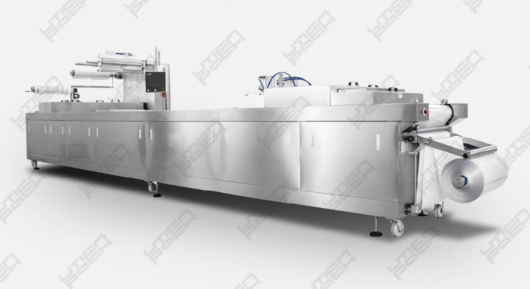 Automatic Food Vacuum Map Thermoforming Packing Machine (DZL)