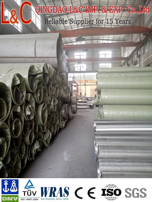 SS304 Stainless Steel Welded and Seamless Tube/Pipe