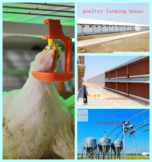 Poultry Farming House Machinery with Prefab Light Steel Installation