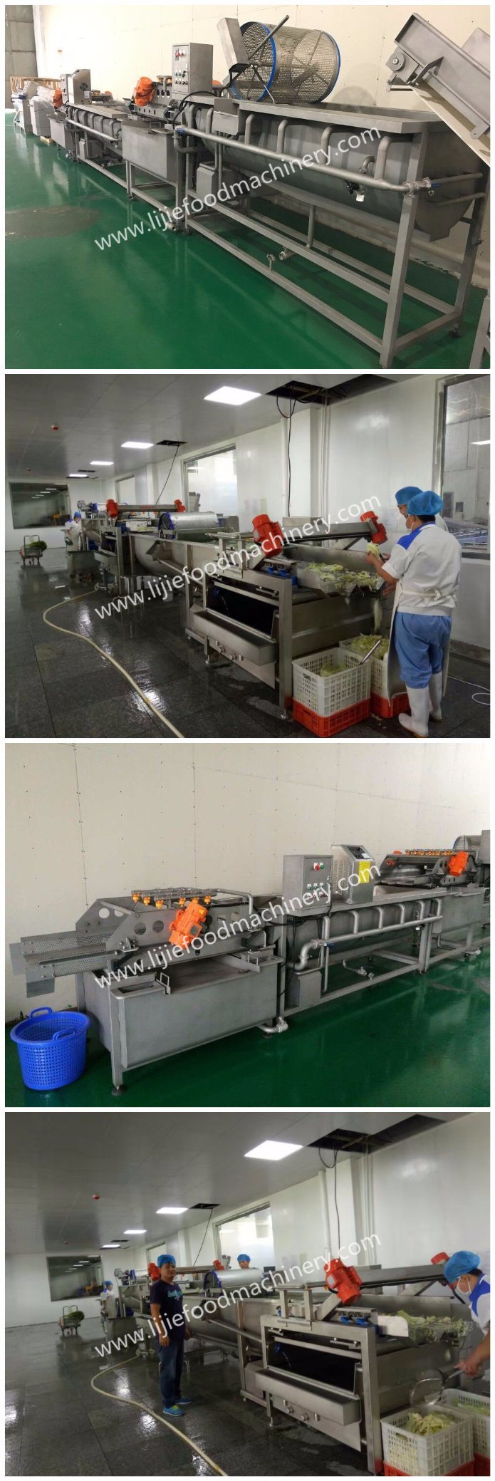 Vegetable&Fruit Washing Machine/Commercial Vegetable Cleaning Machine